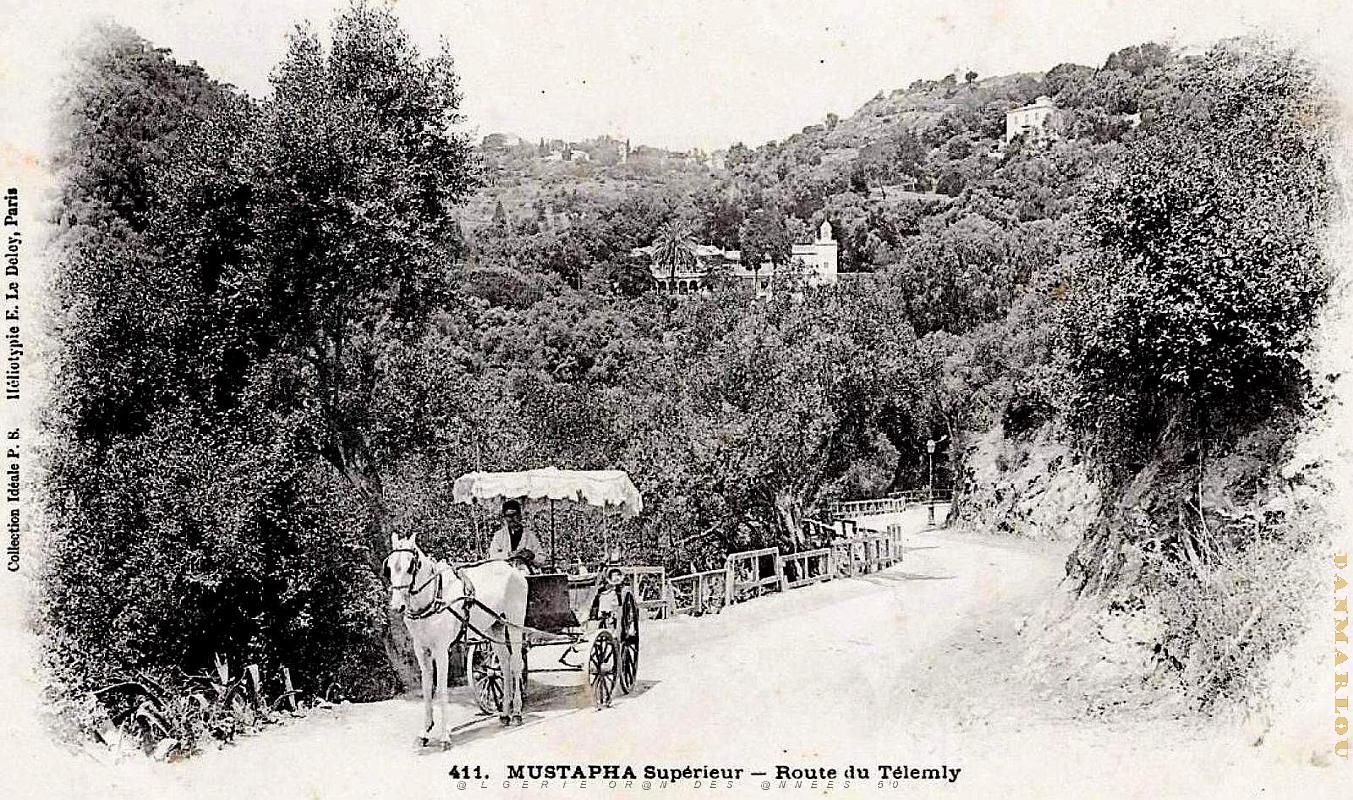 Alger - Mustapha Superieur - Route du Telemly.jpg